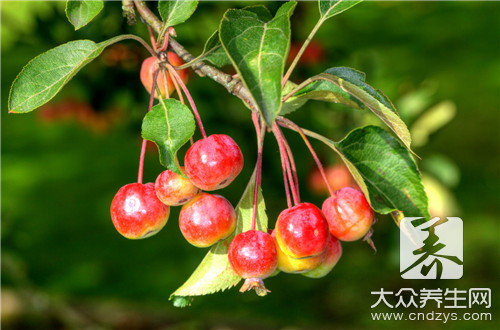 海棠花的果實能吃嗎