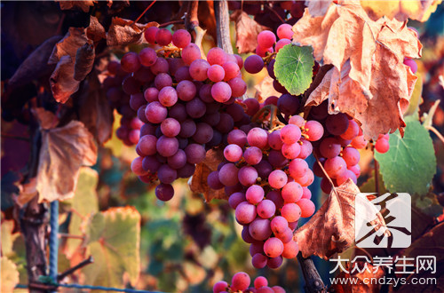 葡萄罐頭怎麼做