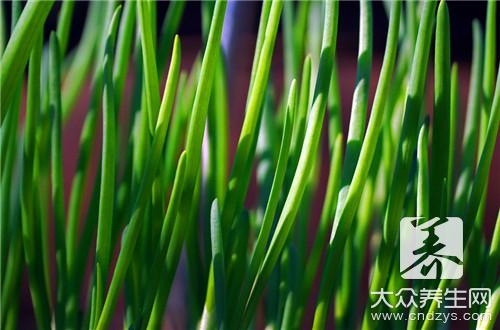 青椒炒韭菜怎麼做？