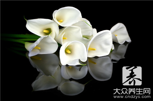 來例假可以吃百合嗎