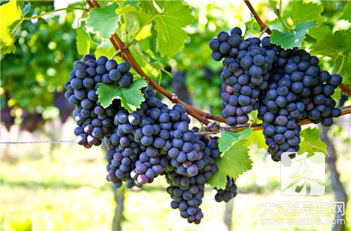 葡萄的做法步驟是什麼？
