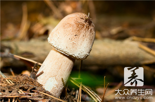 炸雞腿用什麼料