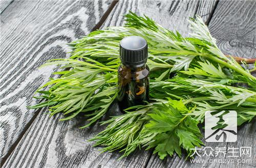 艾恭弘=恭弘=叶 恭弘 恭弘草與艾草的區別