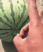 夏天帶娃大家最關心的4個問題，你要的答案在這裏