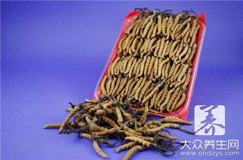 蟲草要燉多久呢？