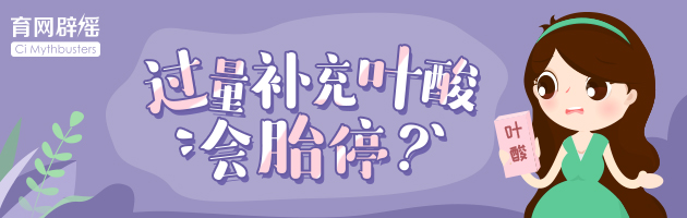 【育網闢謠】過量補充恭弘=恭弘=恭弘=叶 恭弘 恭弘 恭弘酸會胎停？