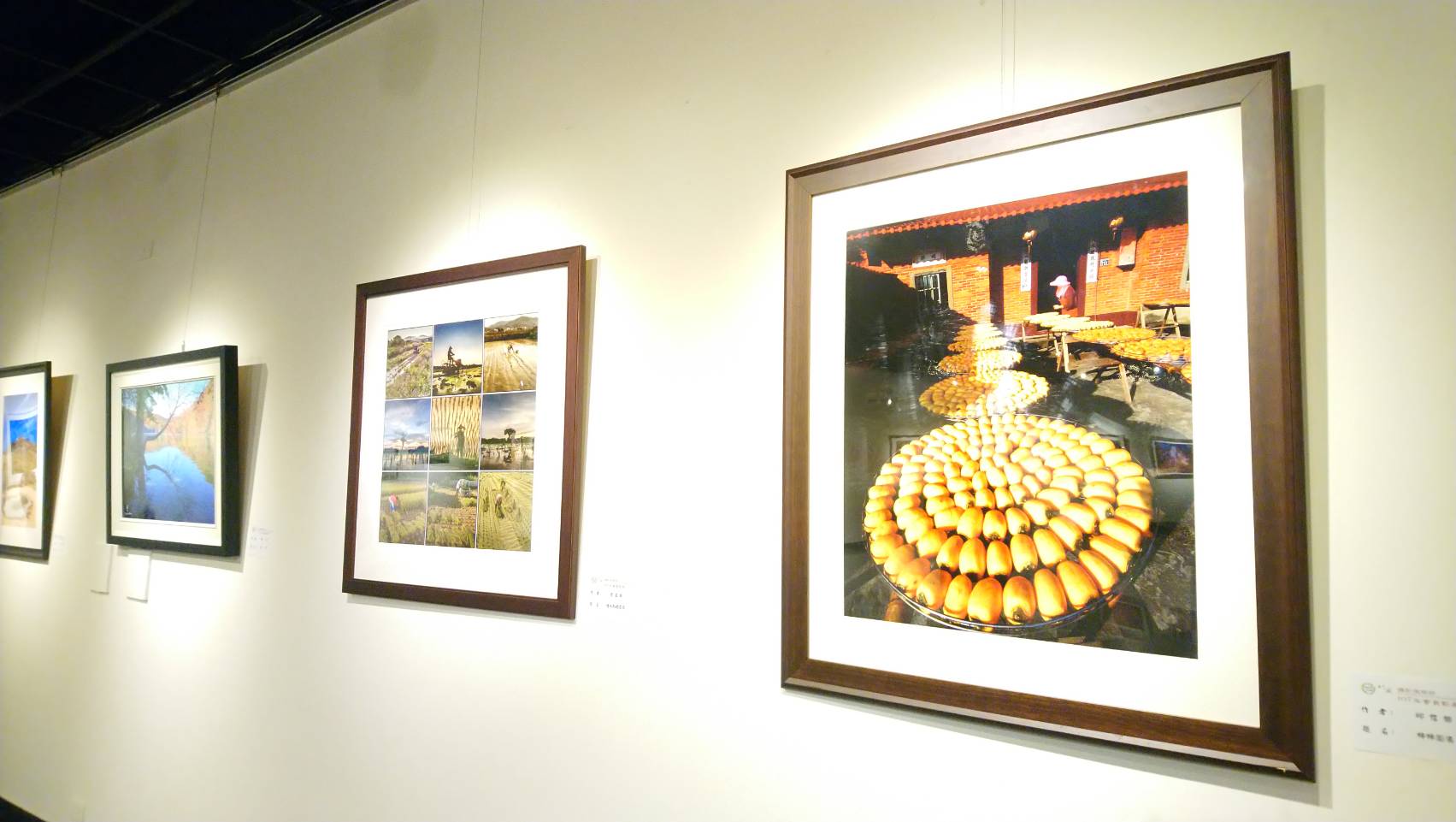 竹風攝影俱樂部會員影展 展出50件雋永作品至7/29止