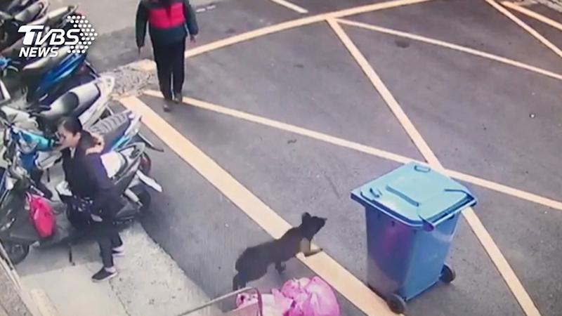 沒繫牽繩！鄰居狗突暴衝　4歲男童嚇躲跌傷_台北到府坐月子,新北市到府坐月子