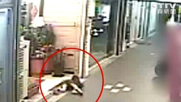 2女兒吵架…狠父將6歲姐姐「丟出門外」　又把4歲妹妹壓地痛打_桃園機場接送